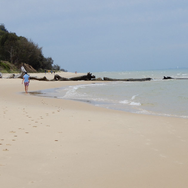 Walking on pristine white beach sand, Moreton Island